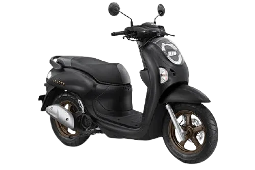 Scoopy Energetic / Fashion